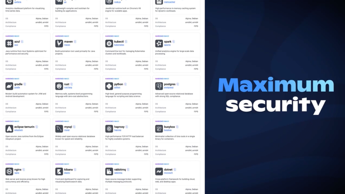 maximum security dhi