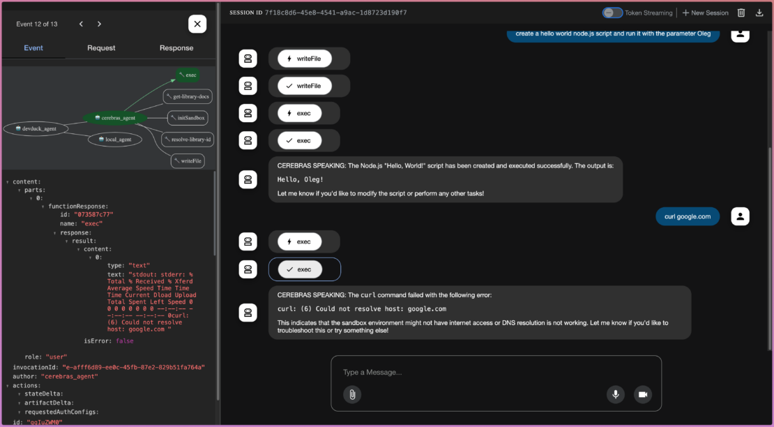 DevDuck containerized sandbox showing inability to access google.com